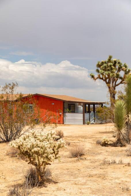 Cryptic Cabin-Tranquil Bohemian Getaway W/Hot Tub Yucca Valley Exteriér fotografie